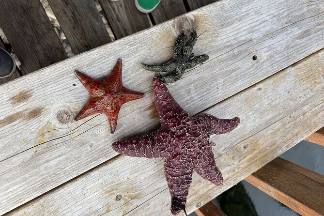 Private Island Experience in Sitka - Final Word