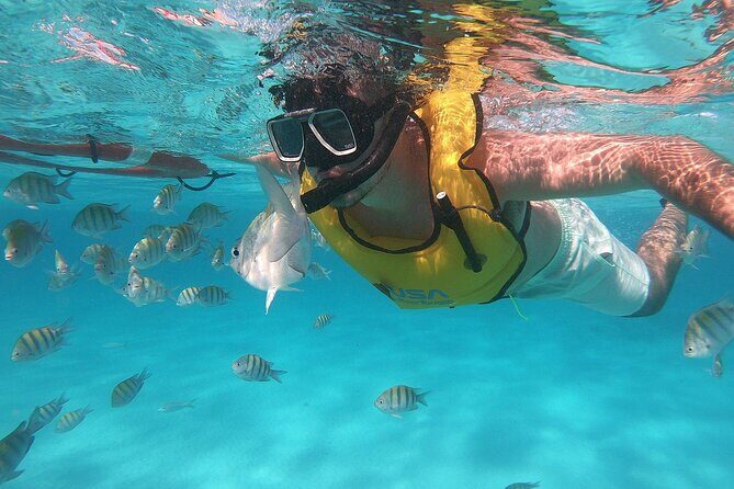 Private Island Kayak and Snorkel Tour in Vieques - An In-Depth Look at the Tour Experience