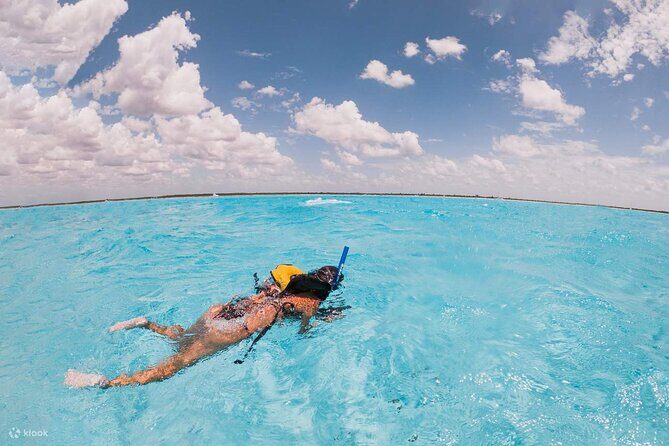 Private Island Kayak and Snorkel Tour in Vieques - FAQ