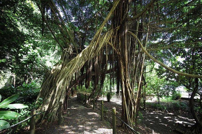 Private Island Tour ( 5 HOURS) - FAQs