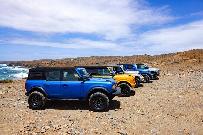 Private Island Tour in Premium A/C Jeeps - What Do the Reviews Say?