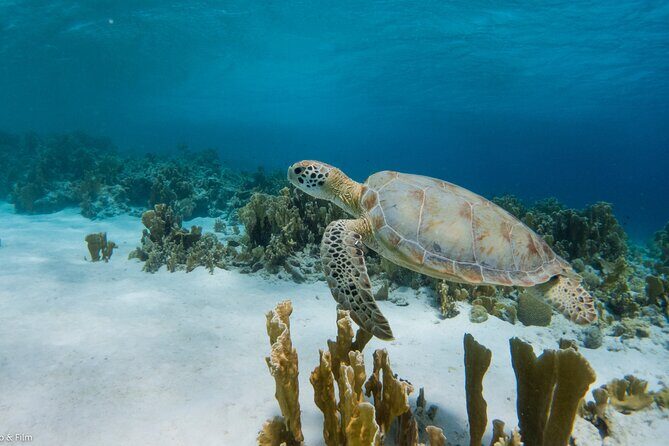 Private Island Tour with Photo Shoot Options Northern Tour - What We Love and What to Keep in Mind