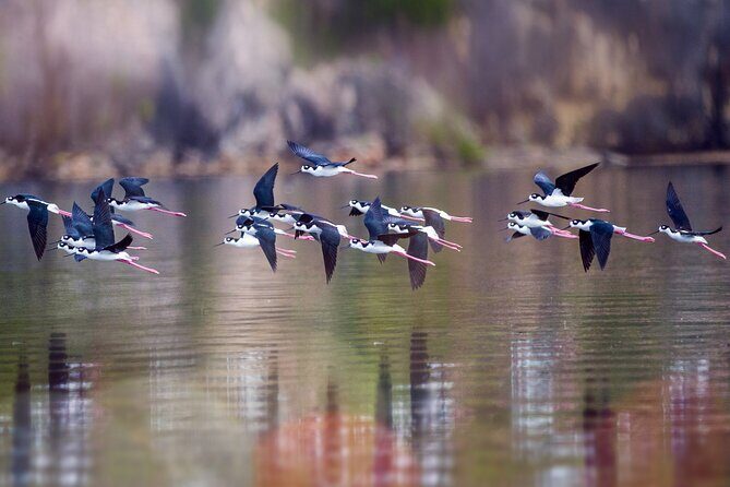 Private Island Tour with Photo Shoot Options Northern Tour - Final Thoughts