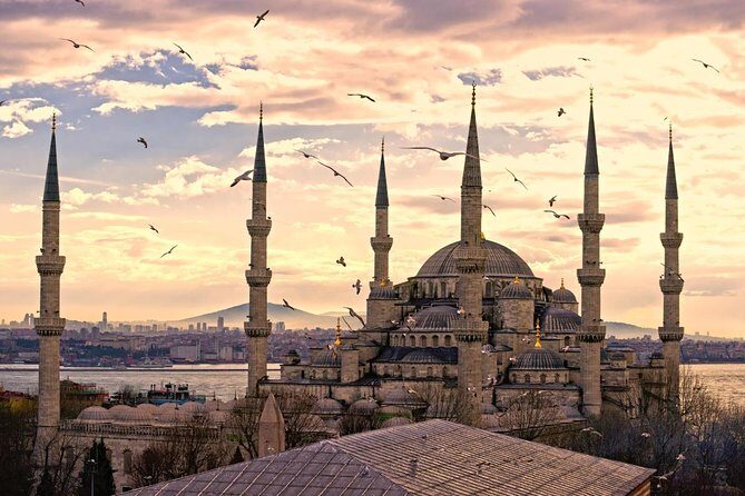 Private Istanbul Full Day ( 7 to 9 hours ) Tour - Skip the line - Key Points