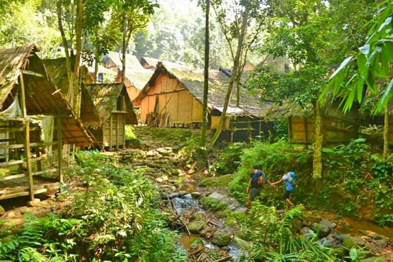 Private Jakarta Tour : Baduy Primitive Village - Tour Highlights