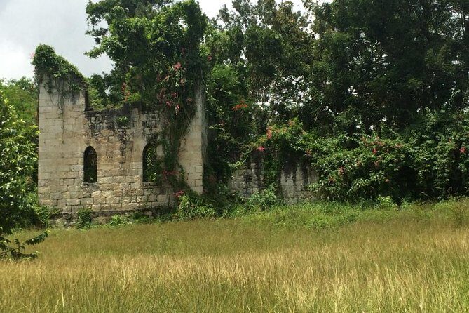 Private Jamaica West Heritage Sightseeing Tour - The Sum Up