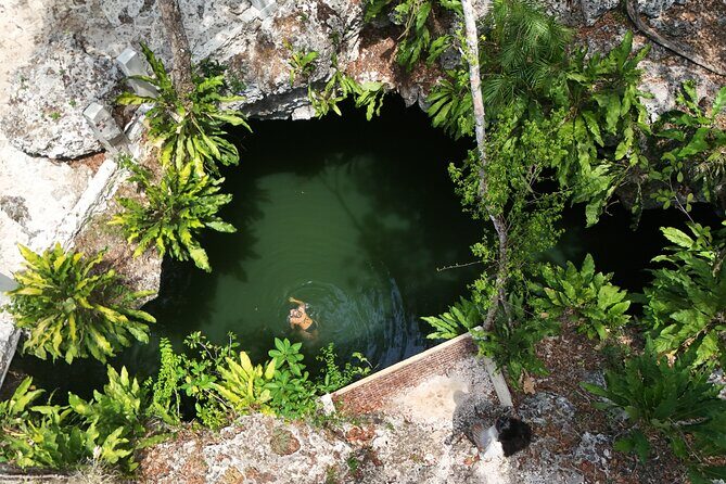 Private Jeep Cenotes Expedition in Cozumel - Key Points