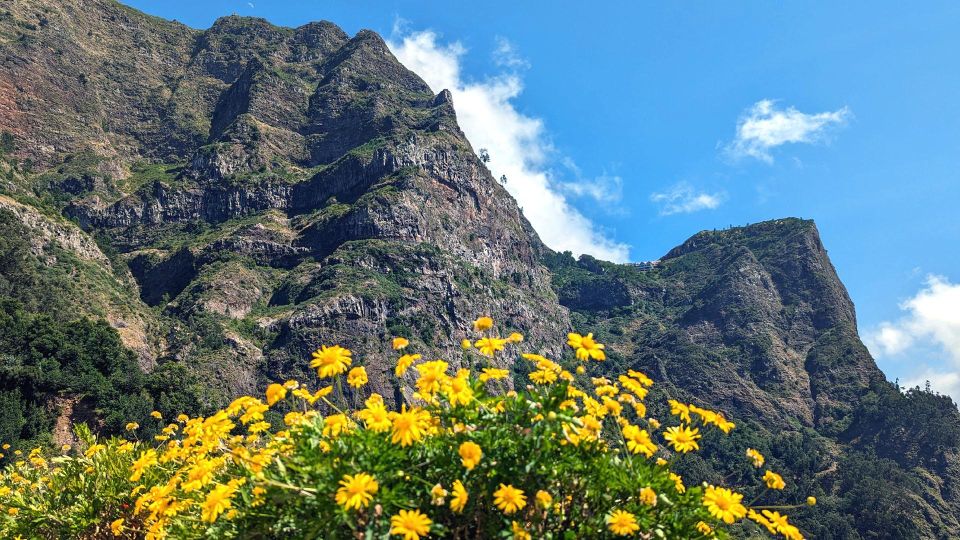 Private Jeep for 5h: Curral Das Freiras, Cabo Lobos & Cabo Girão - Frequently Asked Questions