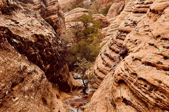 Private Jeep Ride to Explore Slot Canyons and Rock Formations - The Sum Up