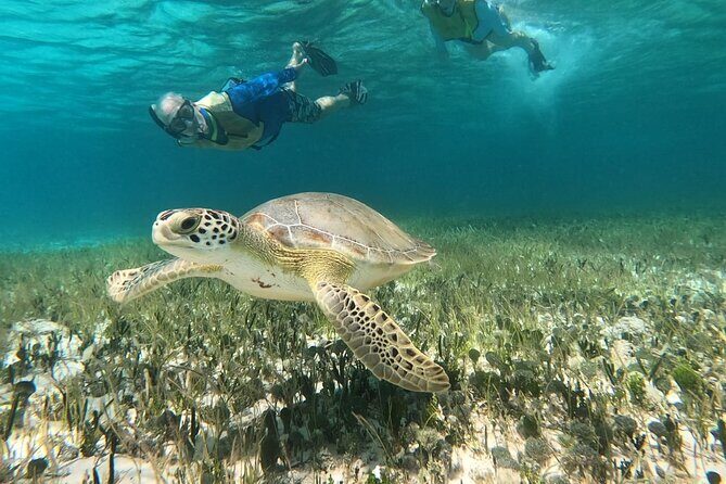 Private Jeep Tour & ATV to Jade Cavern Cenote: All Inclusive - The Complete Breakdown of the Cozumel Private Tour