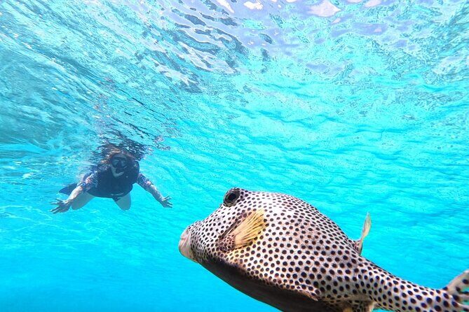 Private Jeep Tour & ATV to Jade Cavern Cenote: All Inclusive - Who Should Book This Tour?