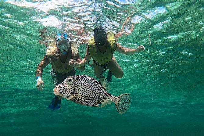 Private Jeep Tour & ATV to Jade Cavern Cenote: All Inclusive - Final Thoughts