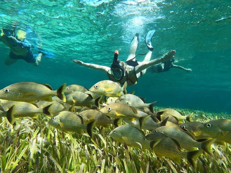 Private Jeep tour to Punta Sur park + snorkel + Lunch - Scenic Stops and Cultural Touches