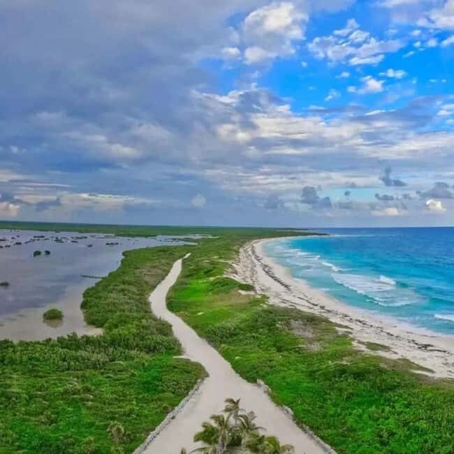 Private Jeep tour to Punta Sur park + snorkel + Lunch - The Practical Side: Logistics and Value