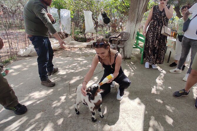 Private Jeep Tour - Zeus Cave - Cretan villages - An Overview of the Crete Private Jeep Experience