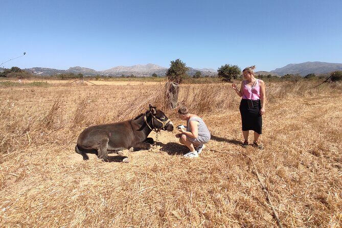 Private Jeep Tour - Zeus Cave - Cretan villages - Final Thoughts
