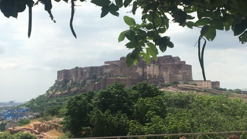 Private Jodhpur Half Day Sightseeing Tour Driver and Car - Booking Process