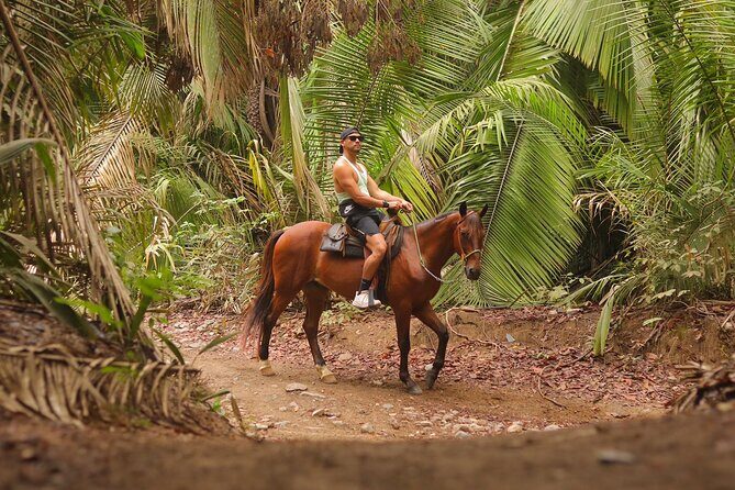 Private Jungle Horseback Adventure - Key Points