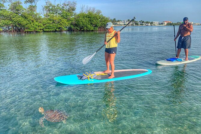 Private Jupiter Island Guided Paddle Boarding Tour - Authentic Experiences from Past Participants