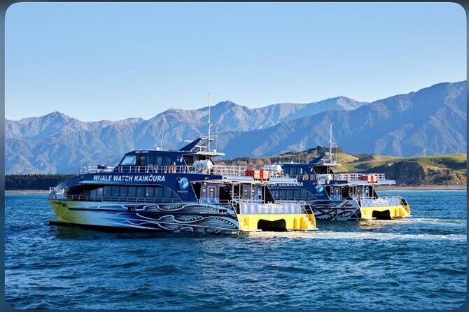 Private Kaikoura Whale Watching Day Trip From Christchurch - The Itinerary: What You Can Expect