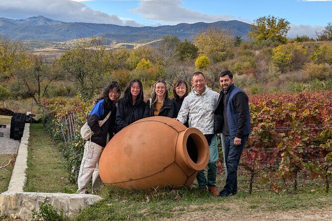Private Kakheti Tour organic Wine Tasting with Lunch - Who Should Consider This Tour?