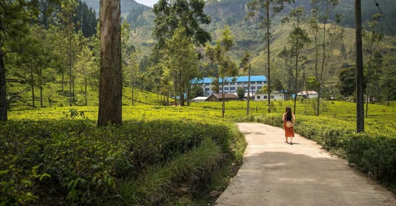 Private Kandy Pinnawala Day Tour From Kalutara - Good To Know