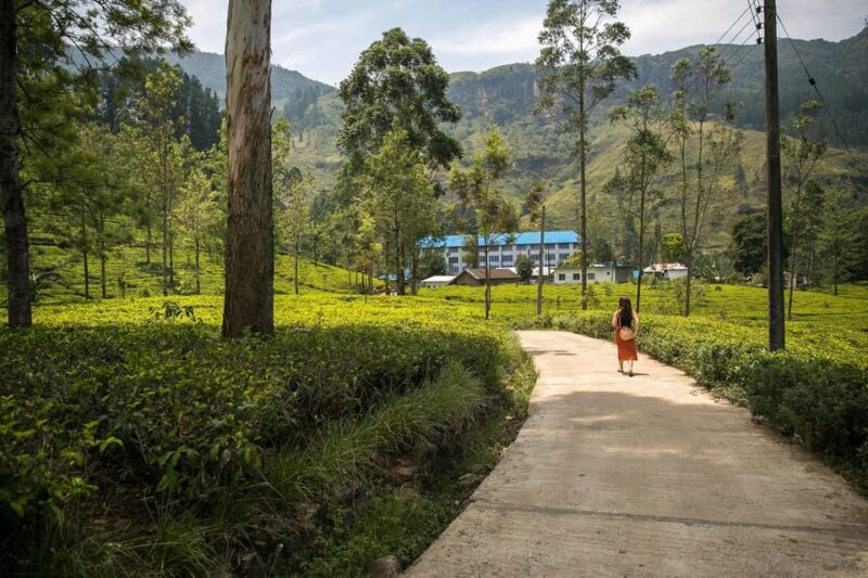 Private Kandy Pinnawala Day Tour From Kalutara - Pickup and Transfers