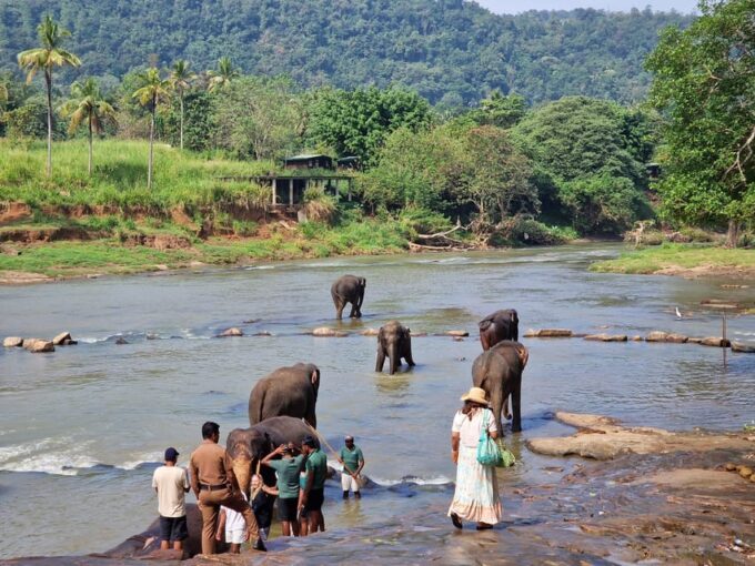 Private Kandy Pinnawala Day Tour From Kalutara - Reservation and Cancellation