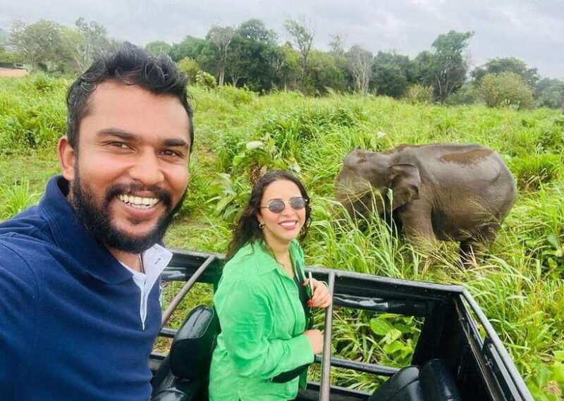 Private Kandy to Sigiriya and Minneriya Safari Day Tour - Key Points