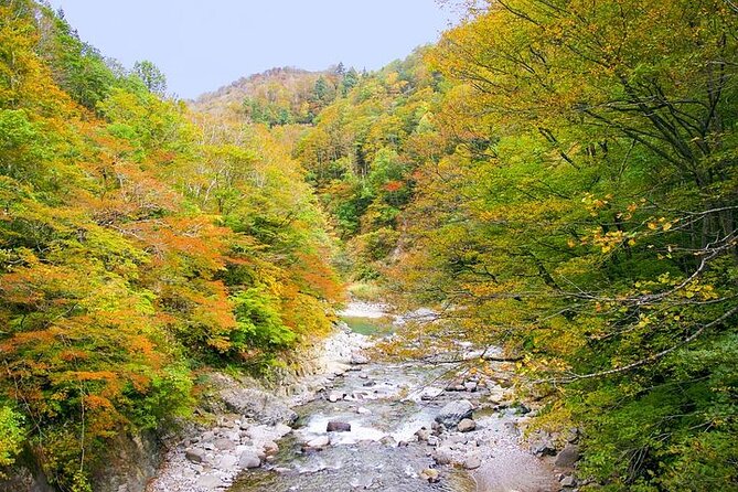 Private Karuizawa, Nagano Tour - Bilingual Chauffeur - Transportation Details