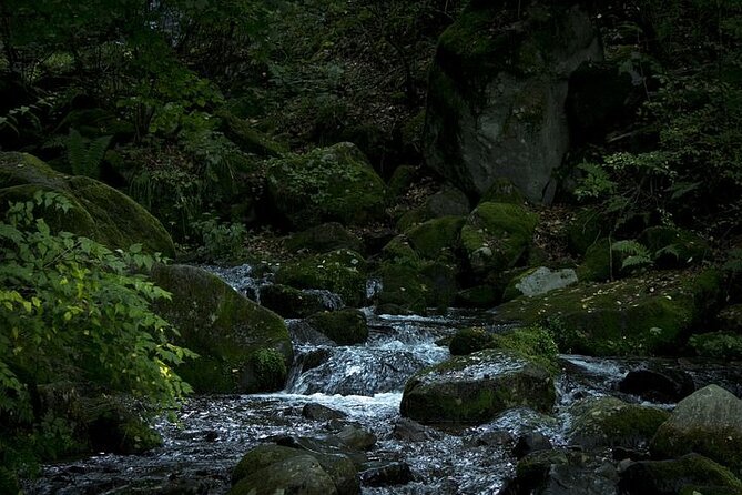 Private Karuizawa, Nagano Tour - Bilingual Chauffeur - Booking and Confirmation