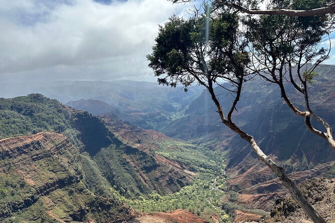 Private Kauai Island Tour-Featuring the Waimea Canyon - Pricing Information