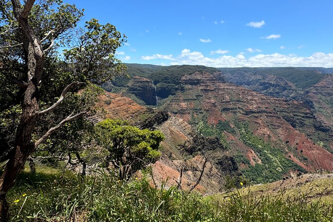 Private Kauai Island Tour : Waimea Canyon, Kalalau Lookout + More - Exploring Kalalau Lookout