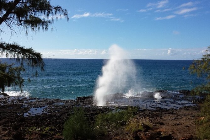 Private Kauai Island Tour : Waimea Canyon, Kalalau Lookout + More - Pickup and Transportation Details