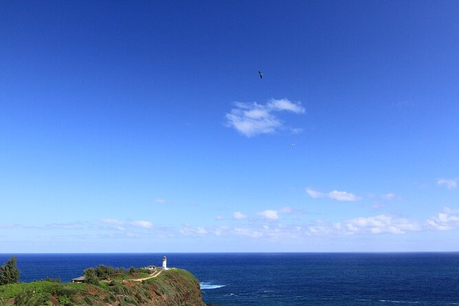 Private Kauai Island Tour : Waimea Canyon, Kalalau Lookout + More - Accessibility Features