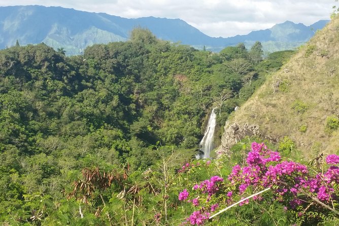 Private Kauai North Shore Tour - Tips for an Enjoyable Tour