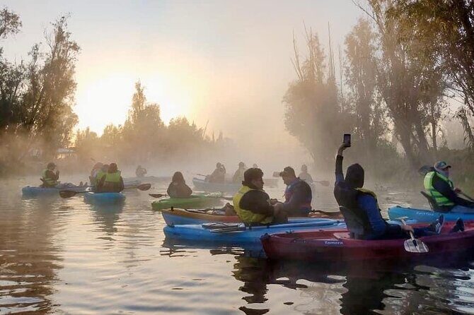 Private Kayak tour through the canals of Xochimilco - A Detailed Look at the Xochimilco Kayak Tour