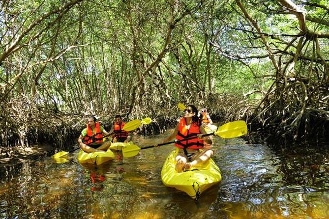 Private Kayaking in Los Haitises 4 Hours With Local Expert Guide. - Frequently Asked Questions