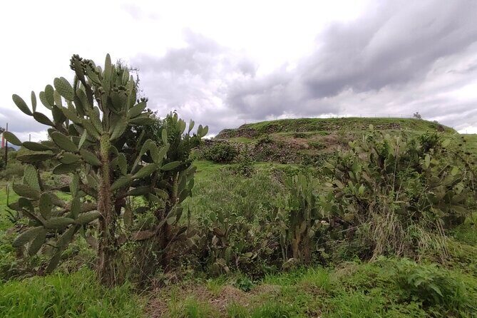 Private kayaks tour in Xochimilco & Cuicuilco pyramid - The Sum Up