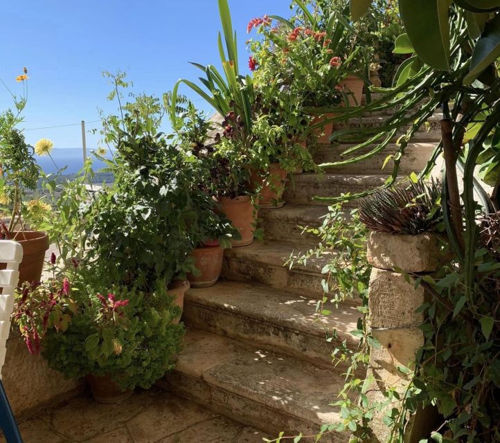 Private Kefalonia eBike Adventure-Explore Nature & Tradition - The Sum Up