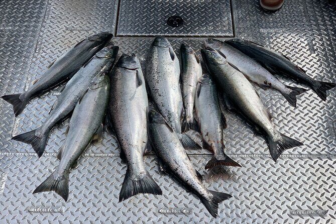 Private Ketchikan Wild Alaskan Salmon Fishing Trip - A Practical Guide to the Ketchikan Salmon Fishing Trip