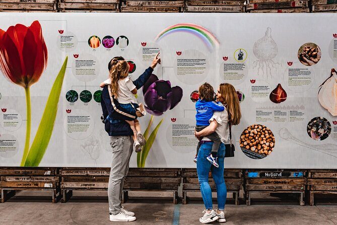 Private Keukenhof, Gardens, Windmills, cheese tour from Amsterdam - The Sum Up