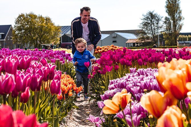 Private Keukenhof, Gardens, Windmills, cheese tour from Amsterdam - FAQ