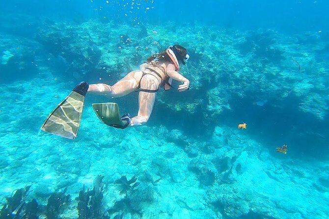 Private Key West Snorkeling Adventure - Booking and Cancellation Policy