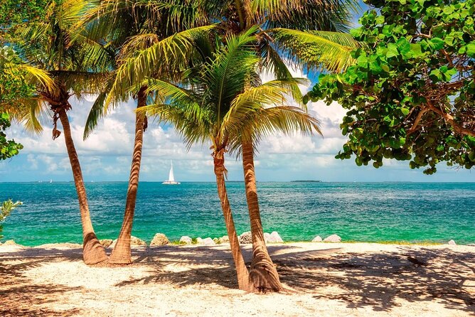 Private Key West Tour Review: A Memorable Experience - Capturing Unforgettable Moments