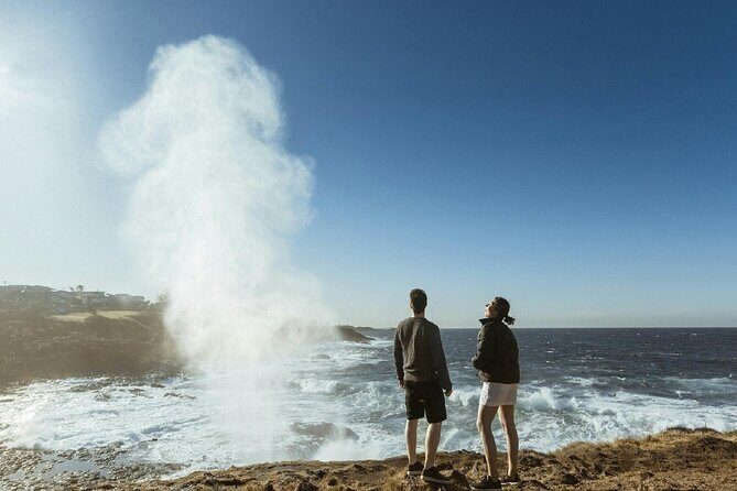 Private Kiama and South Coast Tour from Sydney - Key Points