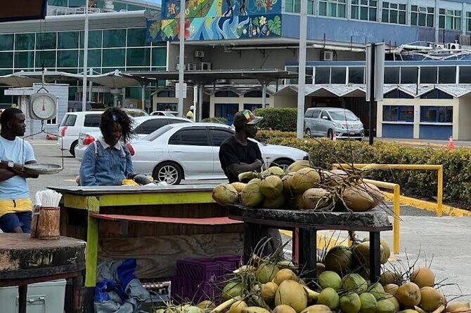 Private Kingston Airport Transfer - Why Choose This Transfer?