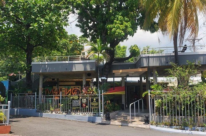 Private Kingston and Bob Marley Museum Tour from Falmouth - Who Should Consider This Tour