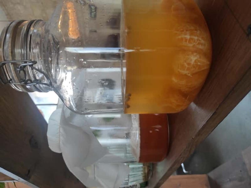 Private Kombucha Making Workshop in Cyprus - A Practical Guide to the Kombucha Workshop in Cyprus