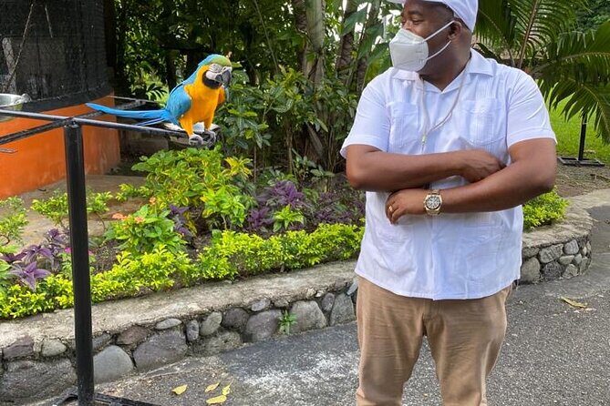 Private Konoko Falls and Blue Hole Combo Tour from Ocho Rios - A Deep Dive Into the Experience